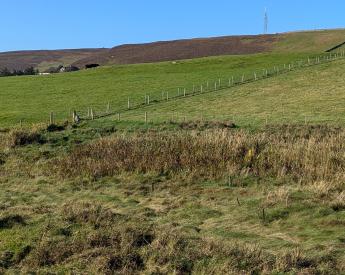  | Site at Upper Scalloway, Scalloway, Shetland